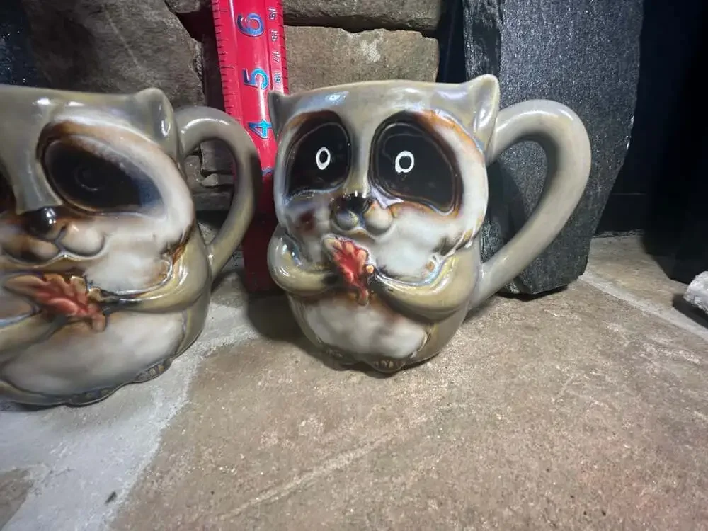 Raccoon coffee cups set of 2 adorable! Read